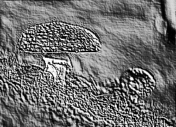 Skamielina