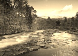 Sepia