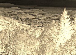 Sepia + Negatyw