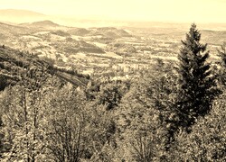 Sepia