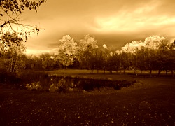 Sepia