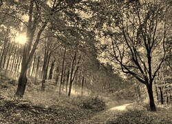 Sepia