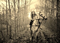 Szary + Sepia