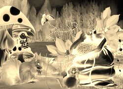 Sepia + Negatyw