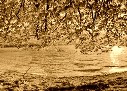 Sepia
