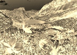 Sepia + Negatyw