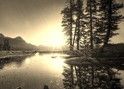 Szary + Sepia