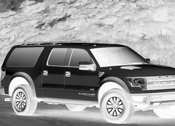 Szary + Negatyw