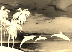 Sepia + Negatyw