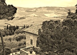 Szary + Sepia