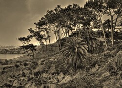 Szary + Sepia