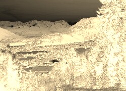 Sepia + Negatyw