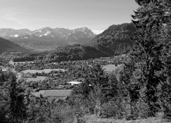 Szary