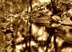 Sepia