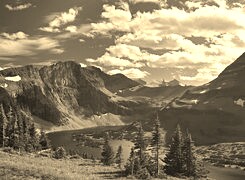 Szary + Sepia