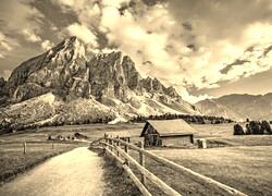 Szary + Sepia