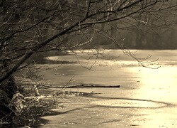 Szary + Sepia