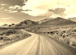 Szary + Sepia