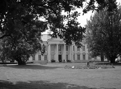 Szary