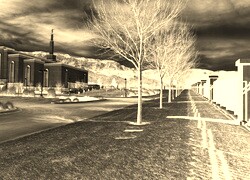 Sepia + Negatyw