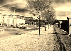 Sepia