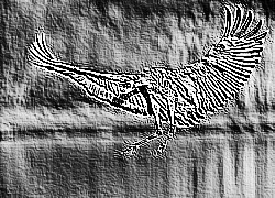Skamielina