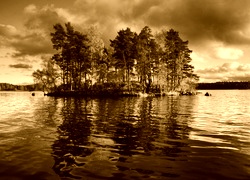 Sepia