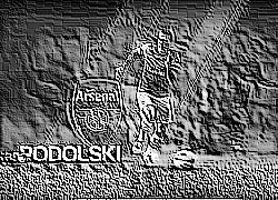 Skamielina