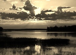 Szary + Sepia