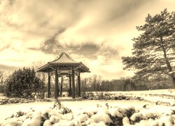 Szary + Sepia