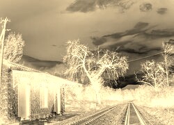 Sepia + Negatyw