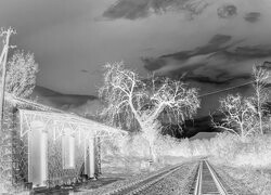 Szary + Negatyw