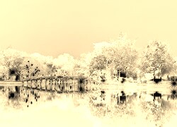 Sepia + Negatyw