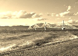 Szary + Sepia