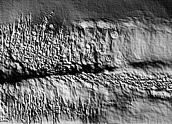 Skamielina