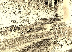 Sepia + Negatyw