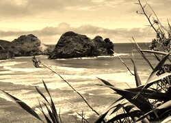 Szary + Sepia