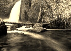 Szary + Sepia