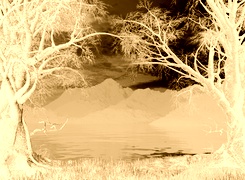 Sepia + Negatyw