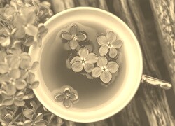 Szary + Sepia