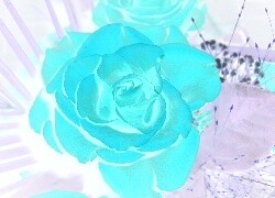 Negatyw