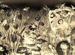 Sepia + Negatyw