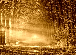 Sepia