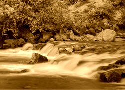 Sepia