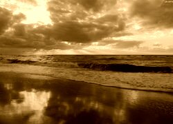 Sepia