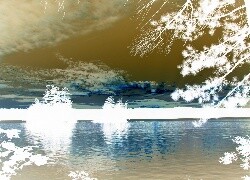 Negatyw