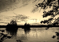 Sepia