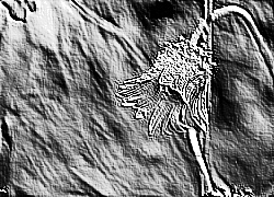 Skamielina