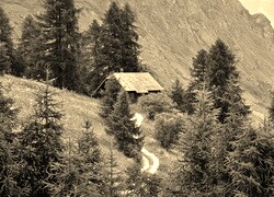 Sepia