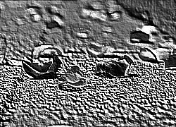 Skamielina